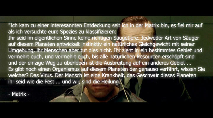 Filmzitate
